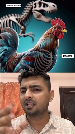 Is A Chicken A Dinosaur? The Answer Will Surprise You! 🍗 #Science #Shorts