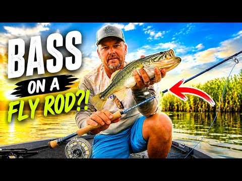 Bass on a Fly Rod?! This Changes Everything