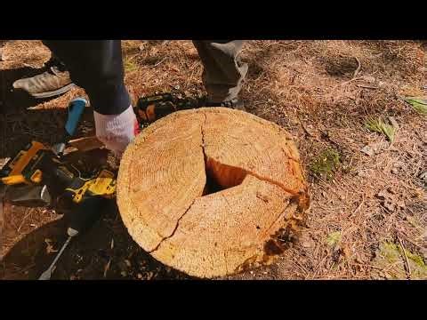 How to Build a Bushcraft Swedish Fire Log (FAST & EASY)