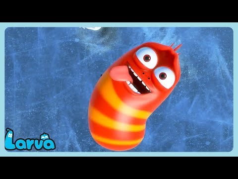 LARVA - Happy New Year! | WildBrain Sunshine City | Cartoons for Kids