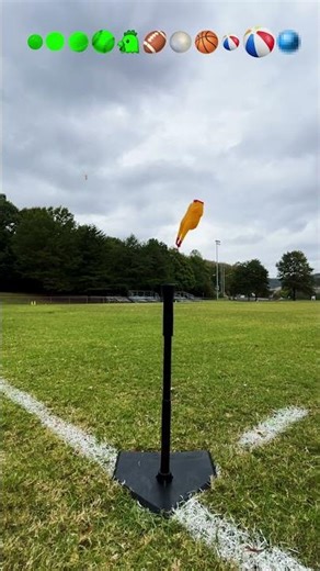 From Small To BIG: Which Ball Goes the FARTHEST? 🏀⚾🎾