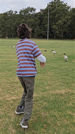 Chasing Birds For First Time ♥️ #disability #autism #cerebralpalsy #viral #shortsfeed #shorts