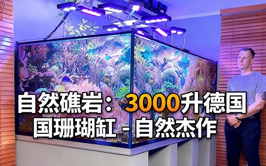 [中配]自然礁岩：3000升德国珊瑚缸 - 自然杰作 - Seafriendlyreef