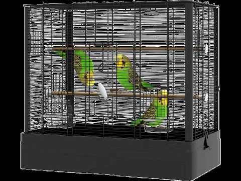 Searching IP Cameras With Chat!