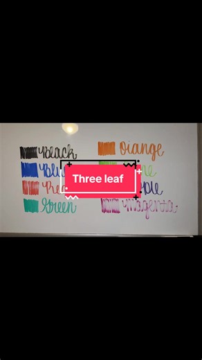 Left-handed handwriting ASMR: Dry erase 'Three leaf' practice