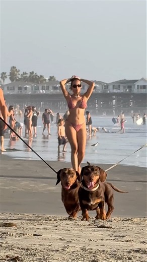 🏖️ Pacific Beach A Perfect Day