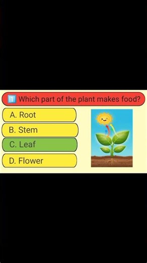 🌱 What Do Plants Need to Make Food? | Easy Science MCQ for Kids#PlantFood #KidsScience #ScienceMCQ
