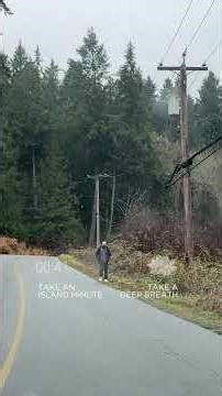 A Quiet Minute on Salt Spring Island