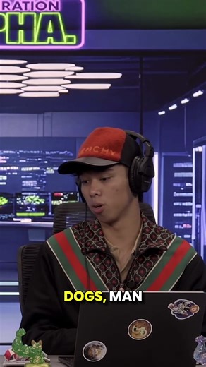 MEMECOINS: DOGS OR CATS? #memecoins #crypto