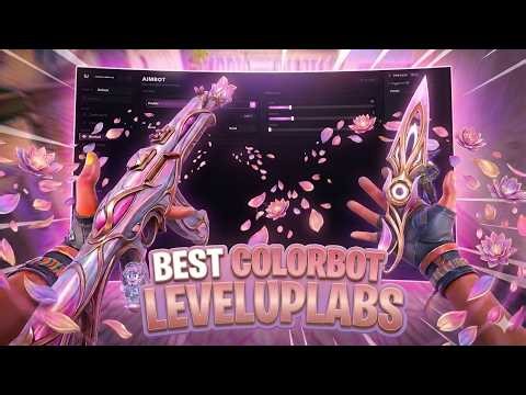Can the BEST UNDETECTED Valorant Colorbot Actually Carry You to Radiant? (Full Setup & Gameplay)