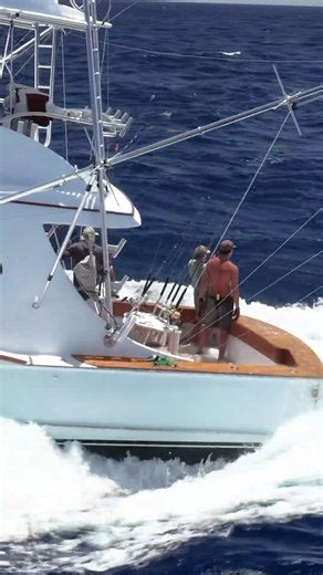 Backing down hard on a blue marlin in St Lucia - #fishing #fishingvideo #boatshow