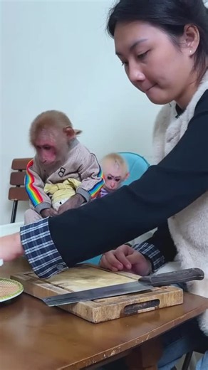 Monkey Bibi Latest Video: Watch This Cute Baby Monkey!