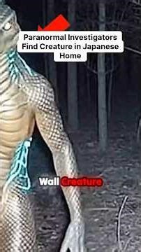 Paranormal Investigators Find Creature in Japanese Home #nothuman #ghost #haunted #cryptid