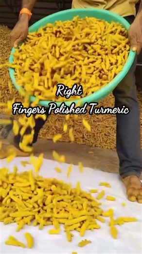 How to export Turmeric | import export businesss | Harsh Dhawan