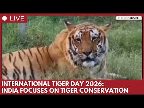 International Tiger Day 2026 highlights conservation gains and emerging challenges in India