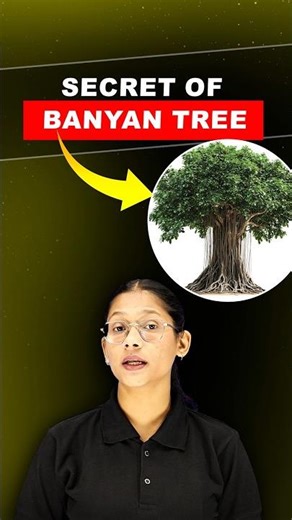 The Secret of the Banyan Tree 🌳 | Nature’s Wonder!