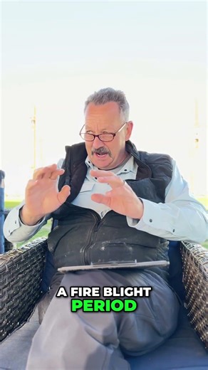 STOP Training Trees During Fire Blight Season! #shorts