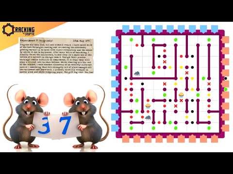 These Sudoku Rats Are Incredible!! Rat Run 37: Fruitful (S3:E17)