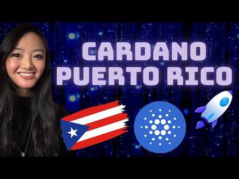 CARDANO Puerto Rico Launch! | New DeFi Infrastructure