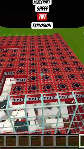 Minecraft sheep explosion