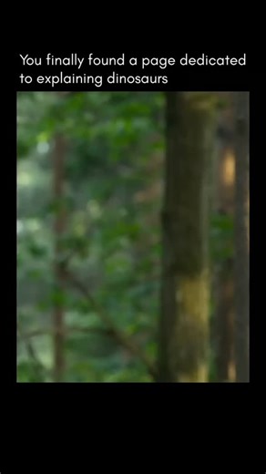 ⏰ 𝗙𝗼𝗹𝗹𝗼𝘄 𝘁𝗼 𝗴𝗼 𝗯𝗮𝗰𝗸 𝗶𝗻 𝘁𝗶𝗺𝗲 on Instagram: "Quetzalcoatlus (female) was one of the largest flying animals to have ever lived, ruling the skies about 68–66 million years ago during the Late Cretaceous period. Like modern birds and reptiles, female Quetzalcoatlus were likely slightly larger and heavier than males, a trait seen in many flying and egg-laying species. This size advantage may have helped females carry and protect eggs, regulate body heat, and dominate nesting sites.