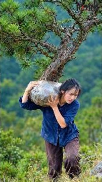 Timeless Beauty of Bonsai | Traditional Tree Shaping Craftsmanship & Cultural Heritage