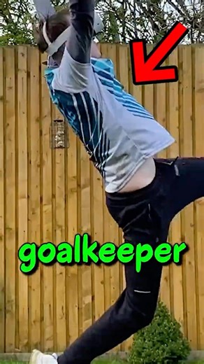 Pro Goalkeeper vs Pro VRFS Football Players? (In VR)