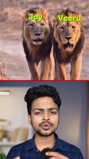 Jai & Veeru: The Legendary Lion Friendship! 🦁❤️ #shorts