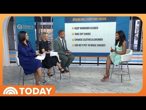 Expert Tips to Minimize the Symptoms of Allergies This Spring