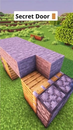Minecraft Secret Door🚪 #shorts