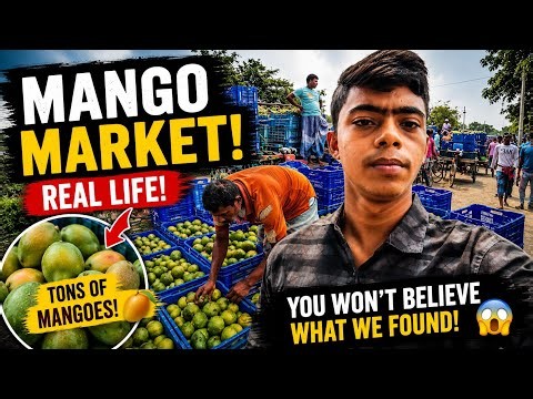 I Visited One of the World's Craziest Mango Markets! Thousands of Fresh Mangoes Every Day