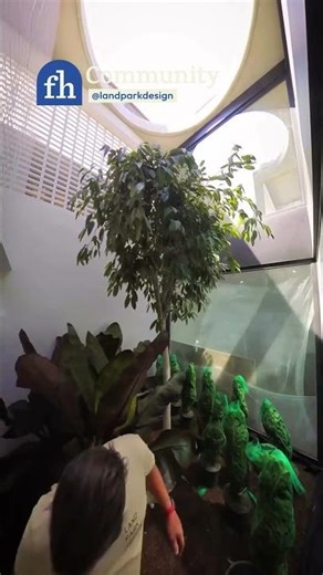 Indoor Courtyard Tree Planting