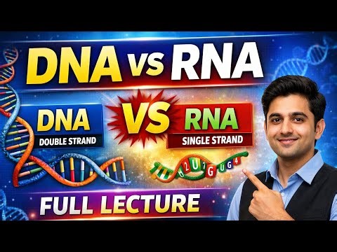 DNA vs RNA Explained Simply | Complete Biology Lecture for Class 9–12