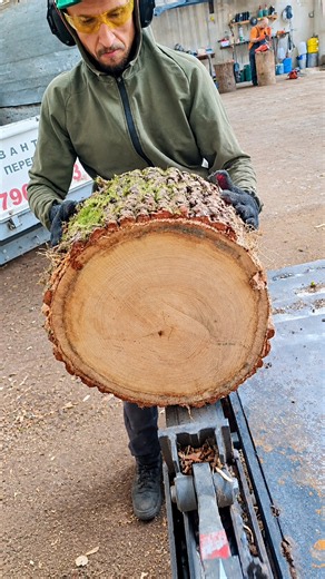 This Machine Splits Wood So SMOOTHLY 😱 #shorts #woodwork