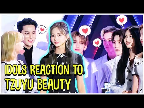 Kpop Idols Reaction To TWICE Tzuyu Beauty