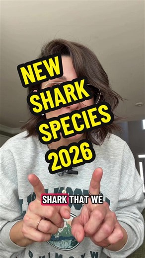 NEW SHARK SPECIES 2026! #sharksoftiktok #sharktok #sharkfacts #oceanscience #oceanlife
