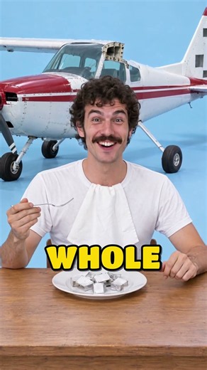 Why Did a Man Eat an Entire Airplane?