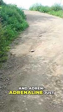 Parasite Control: Adrenaline Zombies Unleashed!