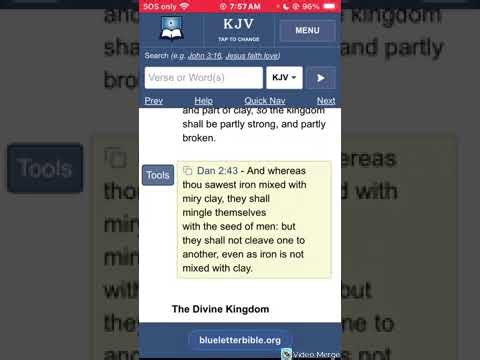 10 Toes in Daniel 2:41-43 is The EU & The Revived Roman Empire 