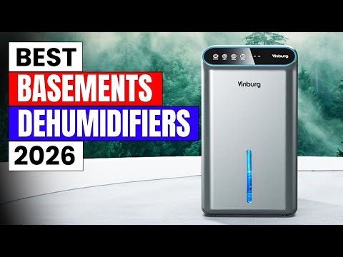 Top 10 Best Dehumidifiers for 2026 – Keep Your Home Dry!