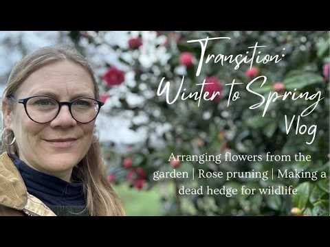 Transition - Winter to Spring in the garden. Pruning roses | Flowers for the house