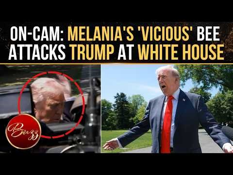 Bee ATTACKS Trump Mid-Briefing; POTUS Flails Arms To Swat 'Vicious' Insect From Melania's Project
