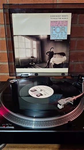 Everybody wants to rule the world - Tears for fears #tearsforfears #vinilo #vinilos #vinyl #80smusic