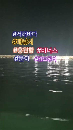 서천 홍원항 1년만에 다시 찾다. #문어 #갑오징어 #쭈갑낚시 #배낚시 #순희씨네꽃밭