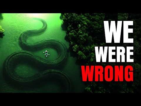 4 Extinct Giant Anacondas That Might Still Be Alive in the Amazon