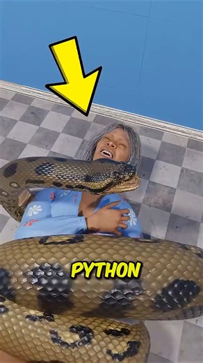 This Python Attack Lasted 2 Hours 😱🐍