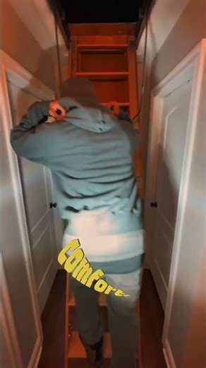 Scratching in the Walls at Night? You Probably Have Mice