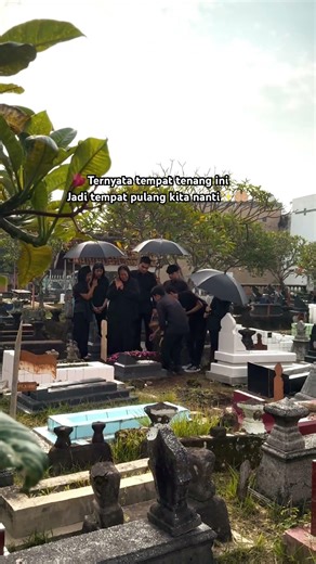 Sejauh apanpun kita pergi disinilah ujungnya nanti #shortsungu #PulangPadaMu