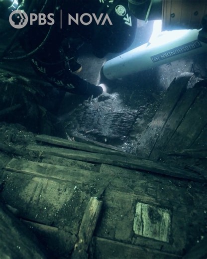 Archeologists found bones while researching a 500-year-old shipwreck. Who – or what – could they have belonged to? | NOVA l PBS