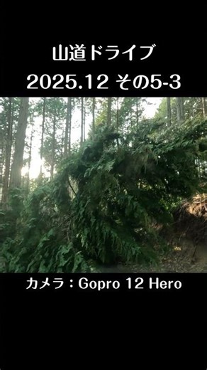 山道ドライブ 2025.12（その5-3）/ Mountain Driving #森林作業道 #林業